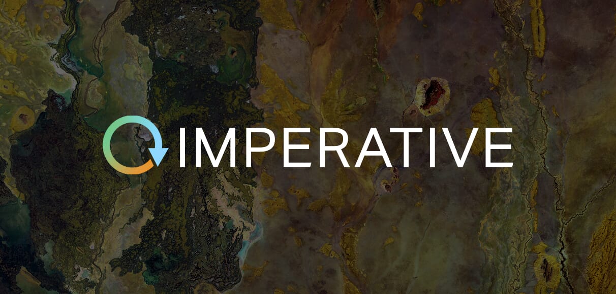 IMP